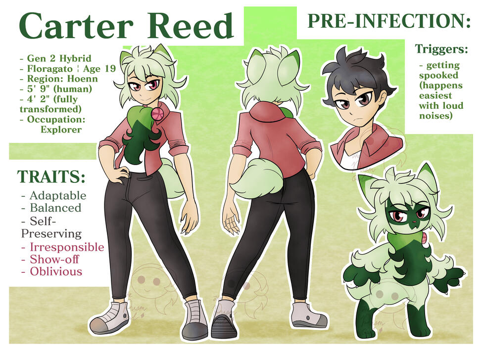 Carter Reed the Floragato Hybrid - Reference Sheet